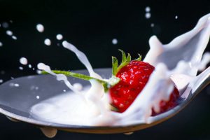 Spółdzielnia Mleczarska Krasnystaw